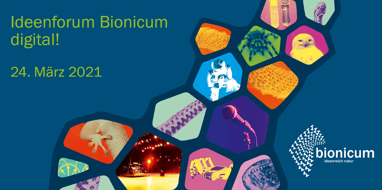 Unsere Teilnahme am „Ideenforum Bionicum“ – … ein gewinnbringender Wissenserwerb durch Fachexperten in Sachen MINT